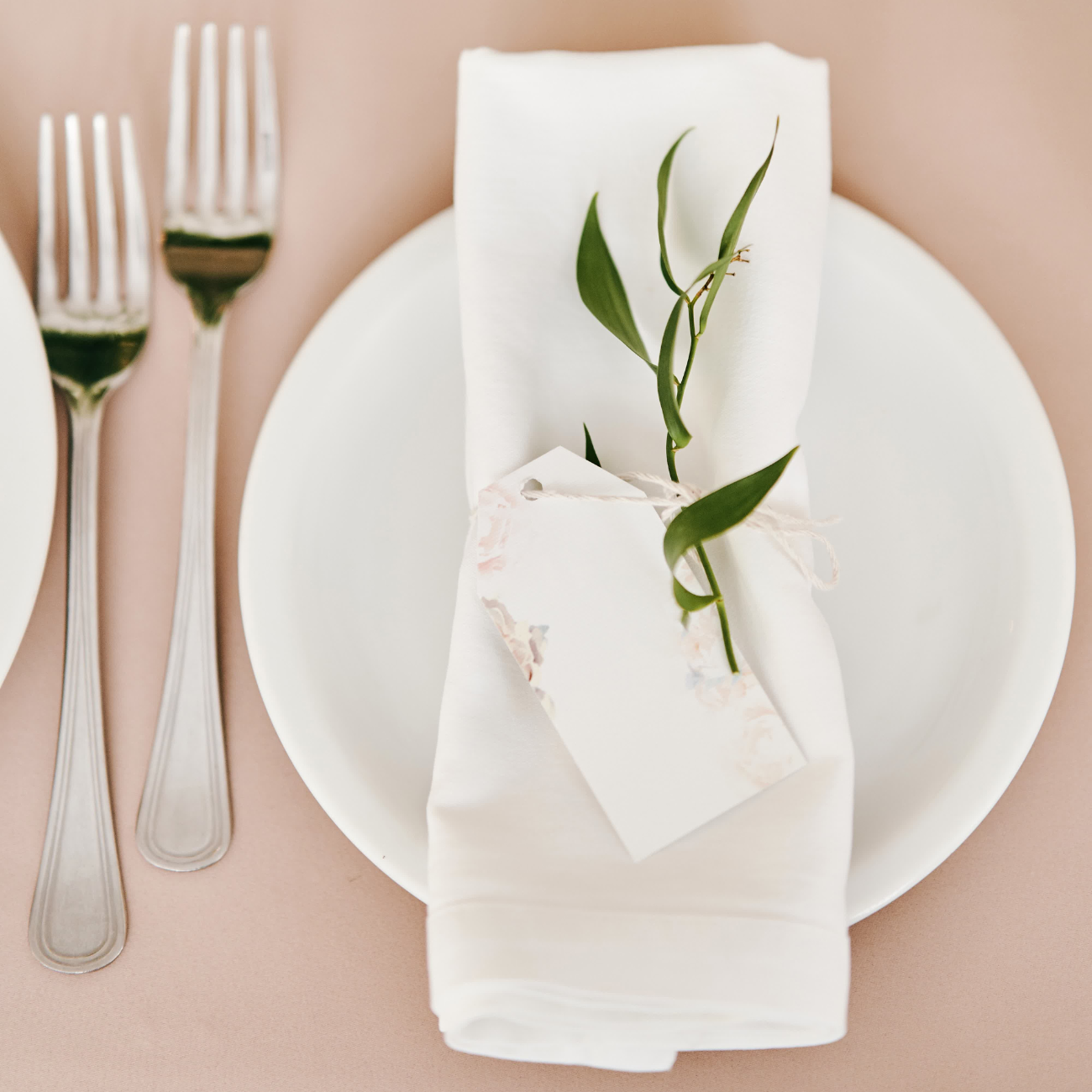 Set of 4 Luxury 200GSM Pure Cotton Napkins