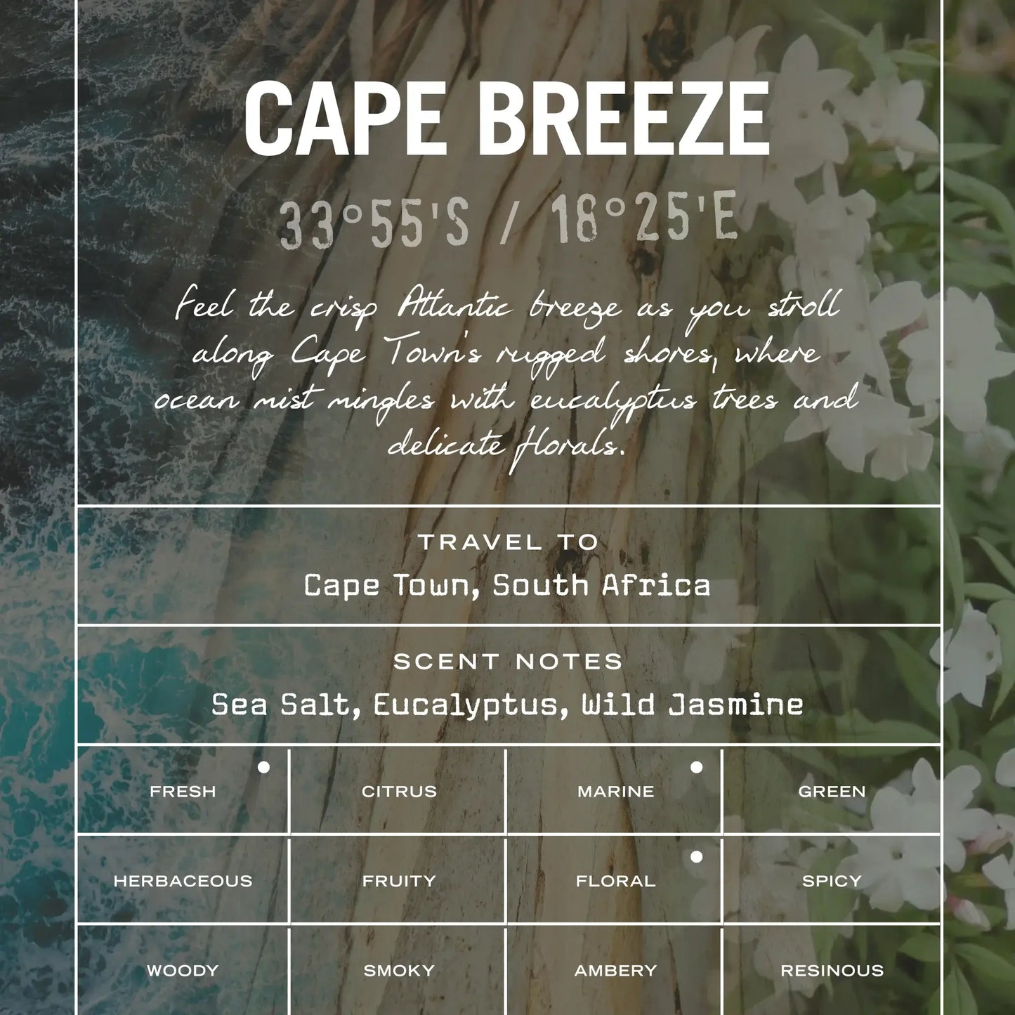 Cape Breeze Reed Diffuser - White Bear Furnishings