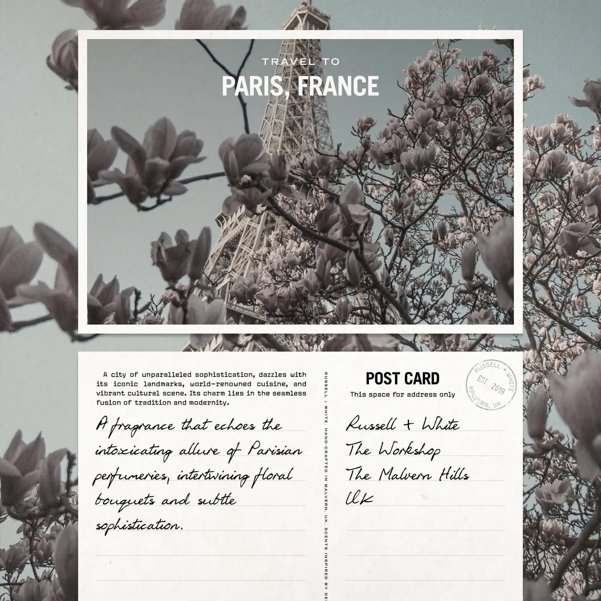 Florale Reed Diffuser - White Bear Furnishings