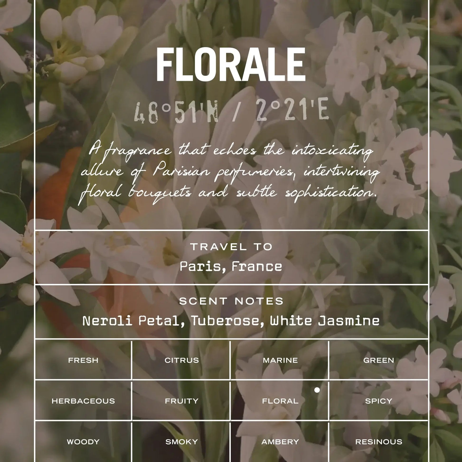 Florale Scented Candle Refill - White Bear Furnishings