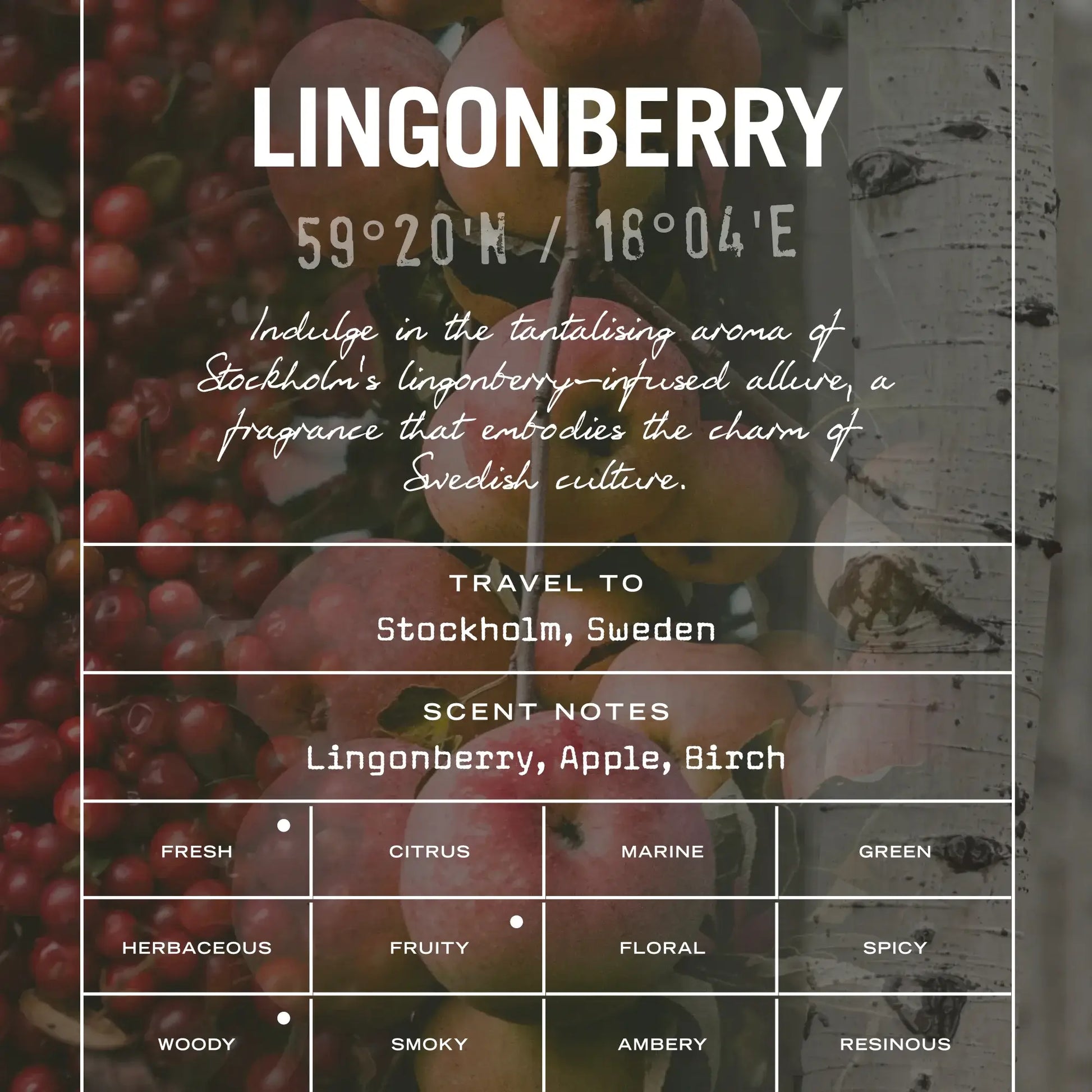 Lingonberry Scented Candle - White Bear Furnishings