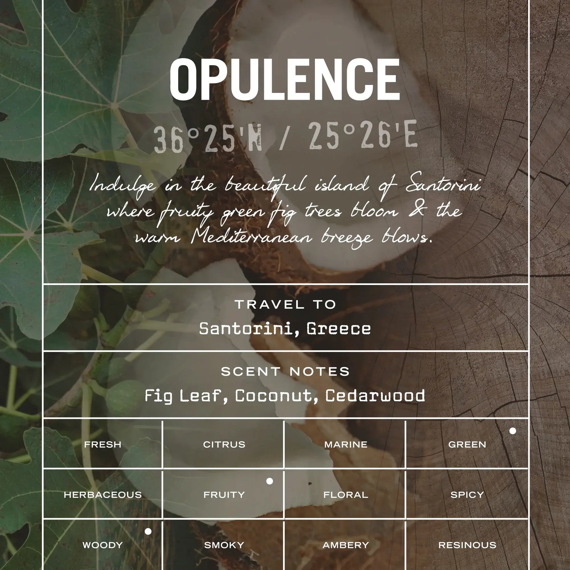 Opulence Reed Diffuser - White Bear Furnishings