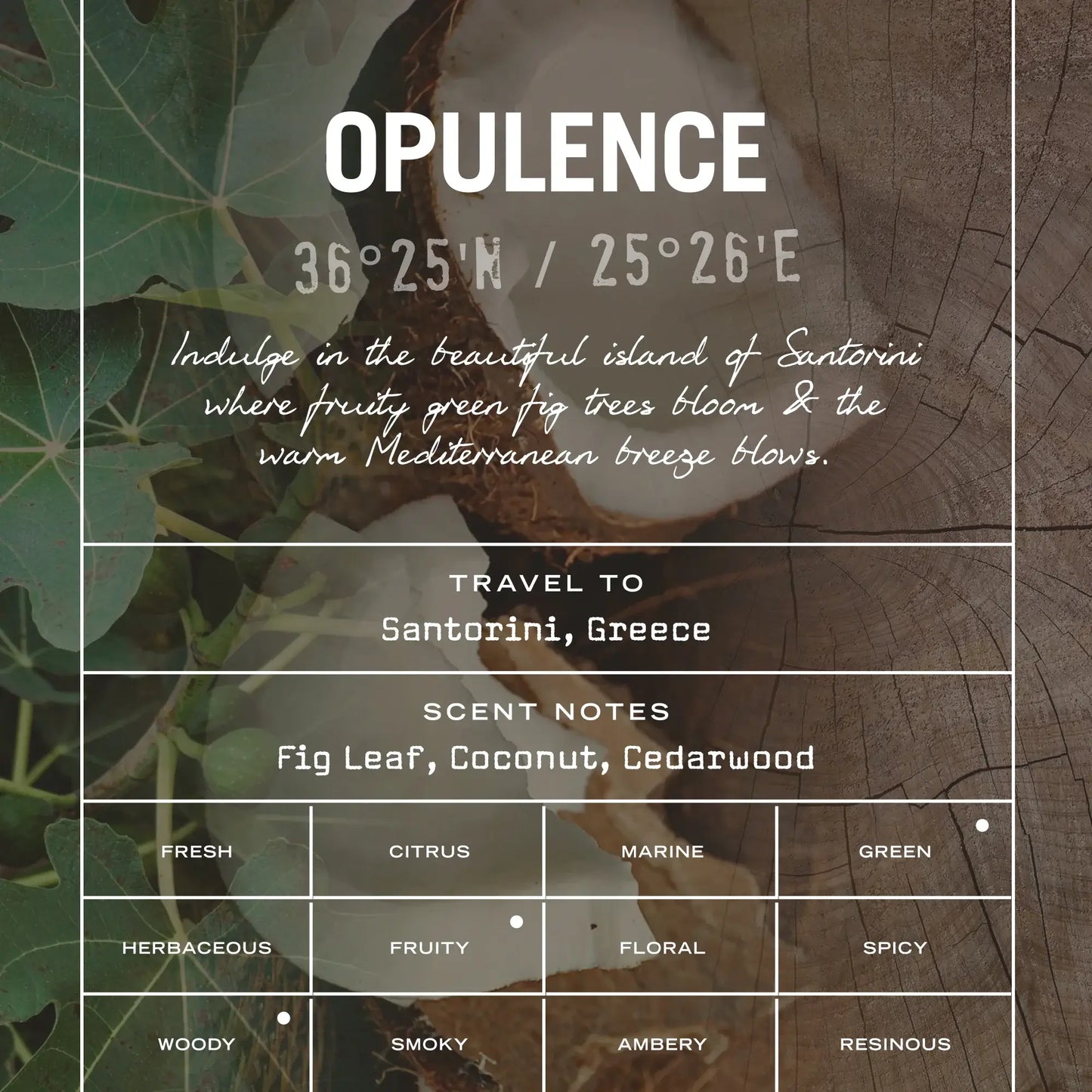 Opulence Scented Candle Refill - White Bear Furnishings
