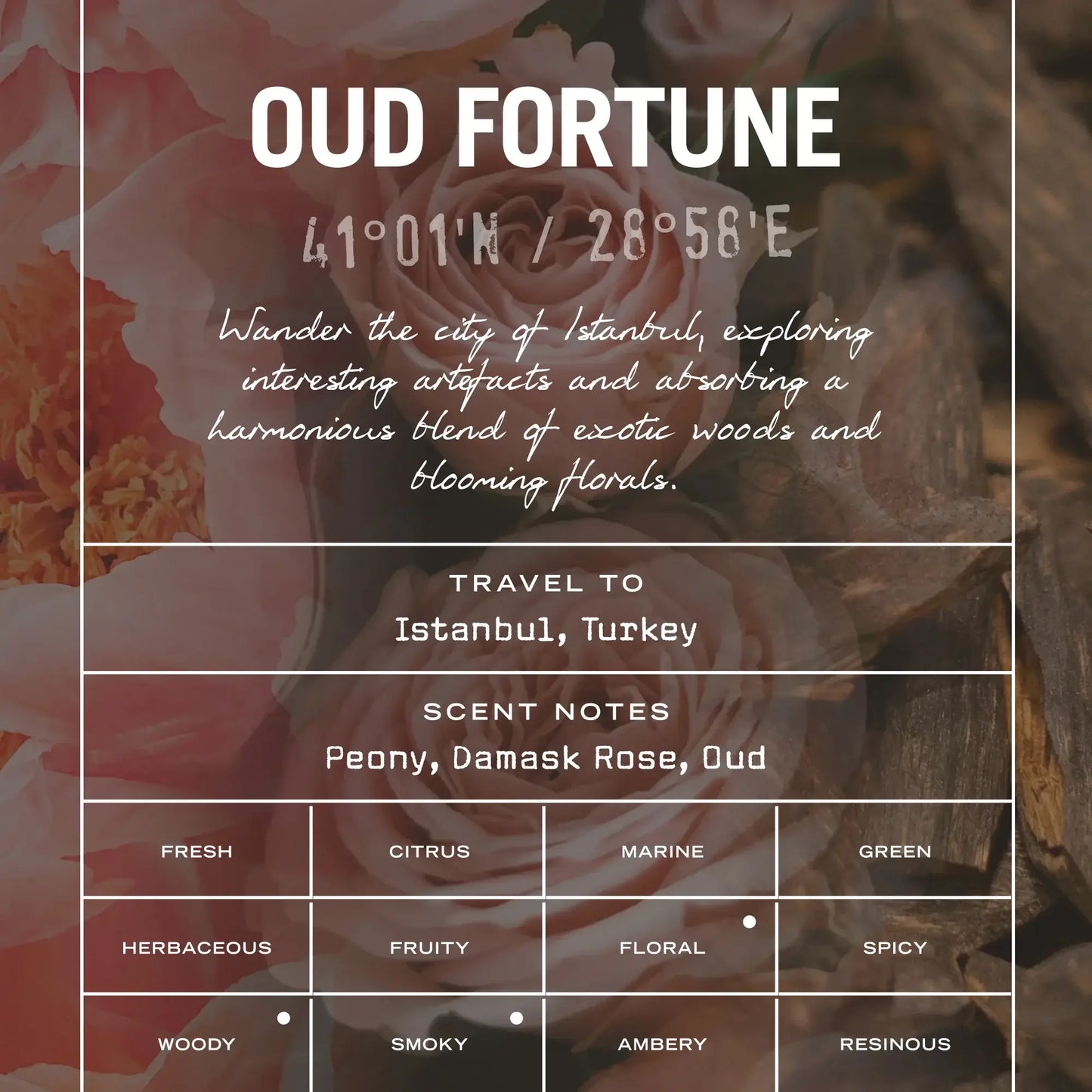 Oud Fortune Reed Diffuser - White Bear Furnishings