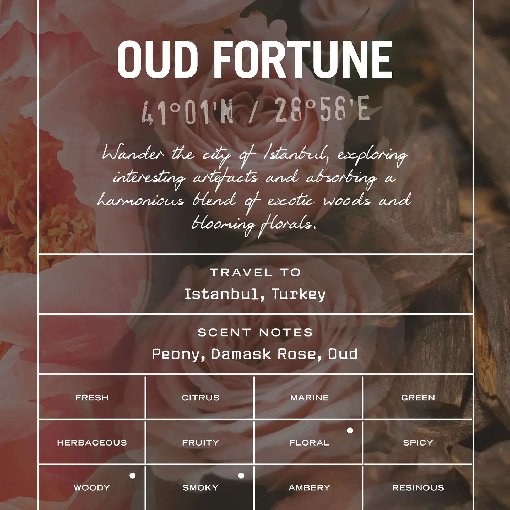 Oud Fortune Reed Diffuser - White Bear Furnishings