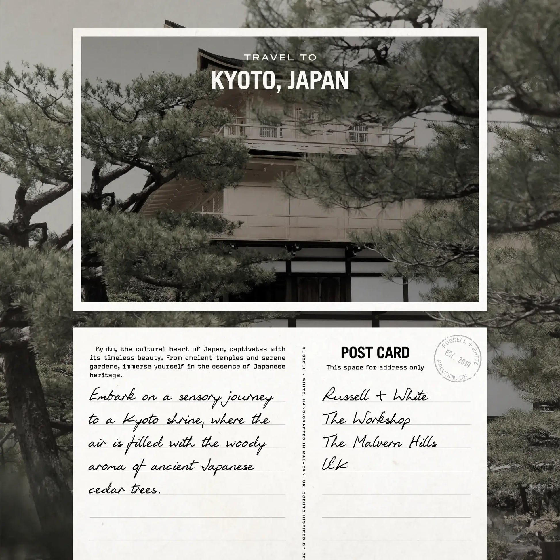 Sugi Reed Diffuser - White Bear Furnishings