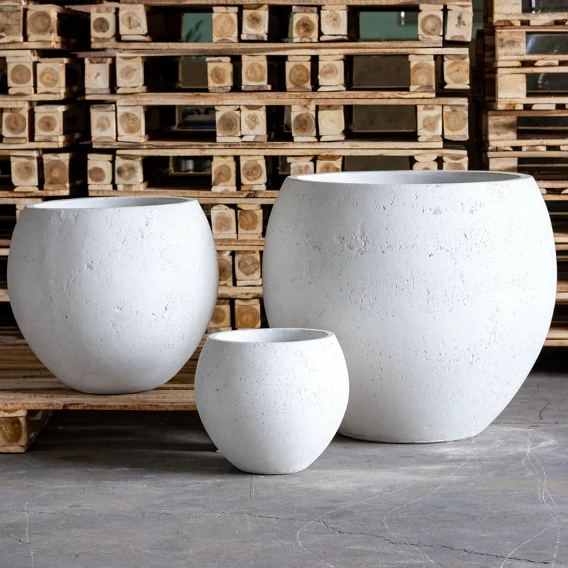 Pots & Plants