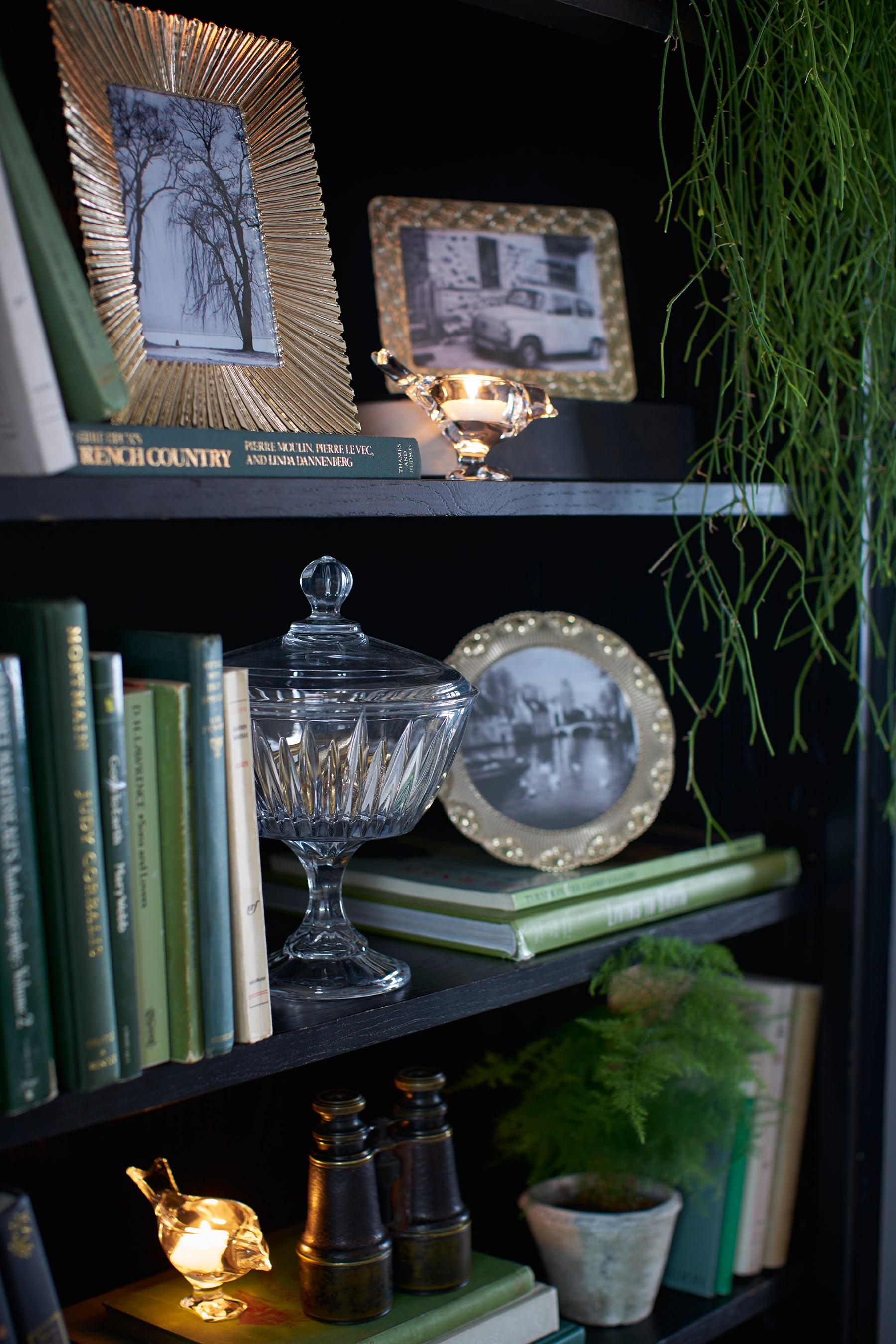 Close up of some shelves of a bookcase with decorative items including books, a glass jar, and framed pictures.