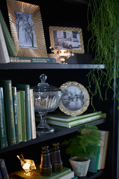 Close up of some shelves of a bookcase with decorative items including books, a glass jar, and framed pictures.