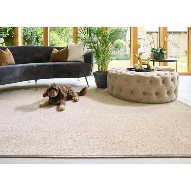 Eco-Washable Rugs Plain Design Non-Slip