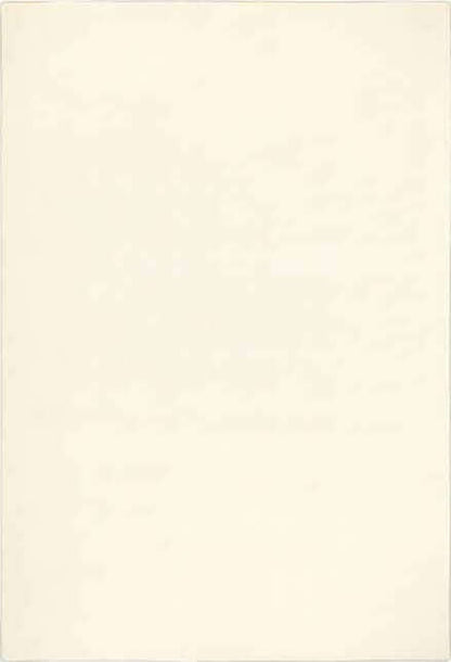 Eco-Washable Rugs Plain Design Non-Slip